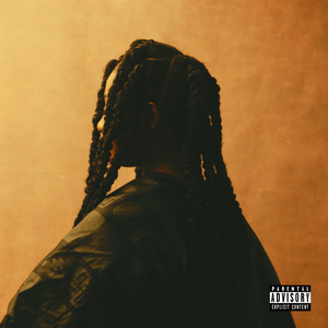 日韩大胆无码视频
