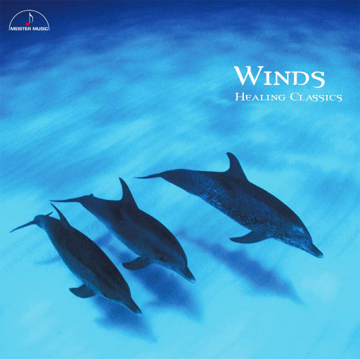 日韩大胆无码视频
